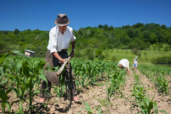 Se reglamentó la ley de Agricultura Familiar: hacia un modelo justo y asociativo para alimentar el mundo