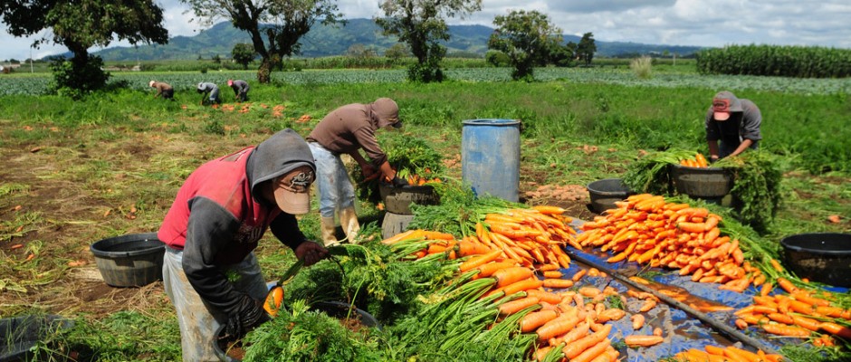 La Agricultura Familiar se suma al Código Alimentario Argentino