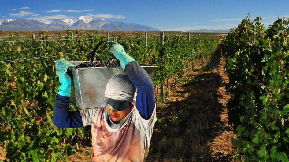 Productores vitivinícolas consiguieron tasas de crédto subsidiadas