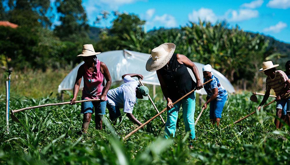 Se reglamentó la ley de Agricultura Familiar: hacia un modelo justo y asociativo para alimentar el mundo