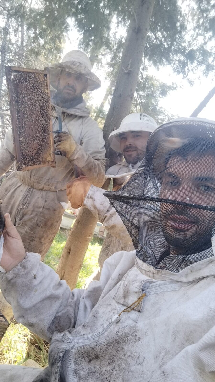 Centro Apícola Morea, la joven cooperativa que busca impulsar la apicultura