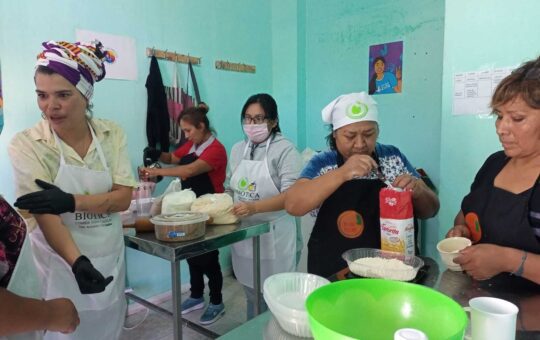 La heladería vegana que se viene en Buenos Aires es un proyecto de una cooperativa de mujeres