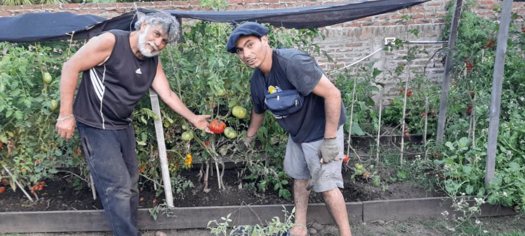 Huertas agroecológicas: el proyecto del mutualismo para llevar alimentos orgánicos en todo el país