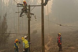 Incendios en el sur de Chile: la Federación Argentina de Cooperativas de Electricidad expresó su preocupación