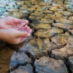 Día Mundial del Agua: «queremos concientizar a los usuarios, sobre todo por la sequía», dijeron desde FECOOSER