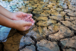 Día Mundial del Agua: "queremos concientizar a los usuarios, sobre todo por la sequía", dijeron desde FECOOSER