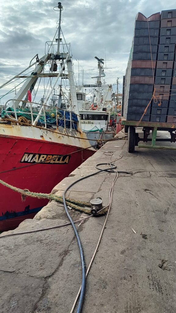 Cooperativa de Portuarios de Mar del Plata: una historia de lucha por condiciones dignas