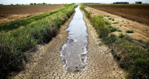 Coninagro publicó su Semáforo de Economías Regionales que refleja los efectos de la sequía