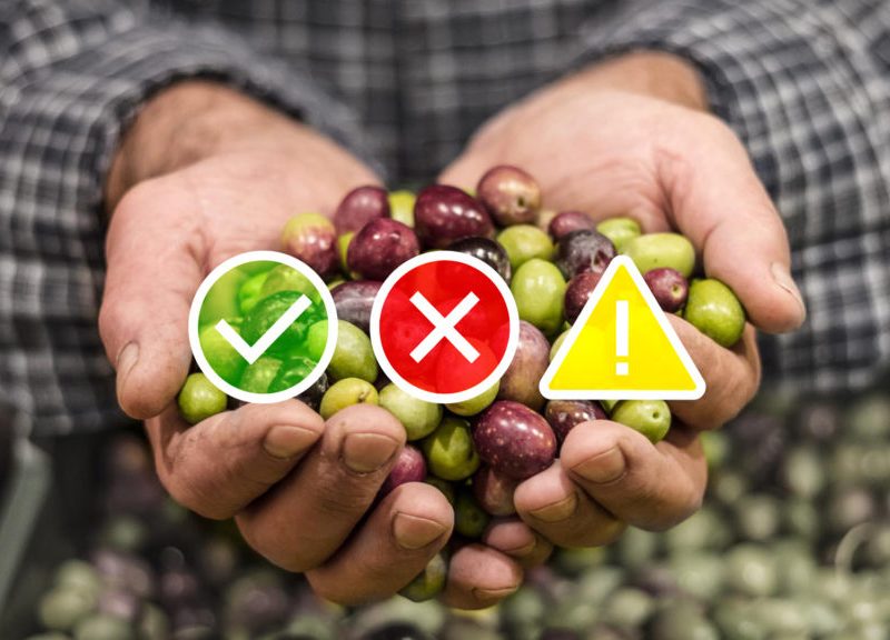 semaforo coninagro