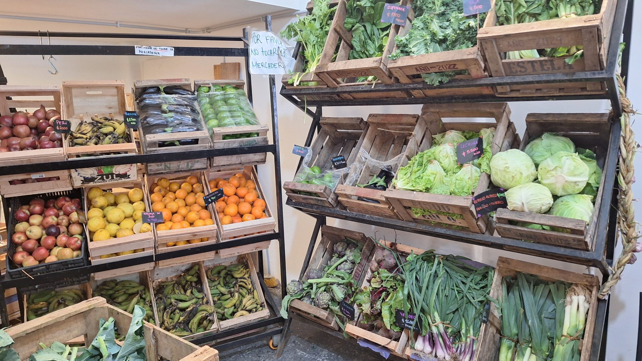 alimentos