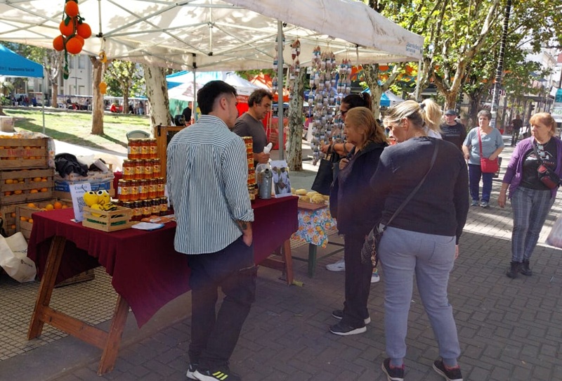 mercado de la tierra