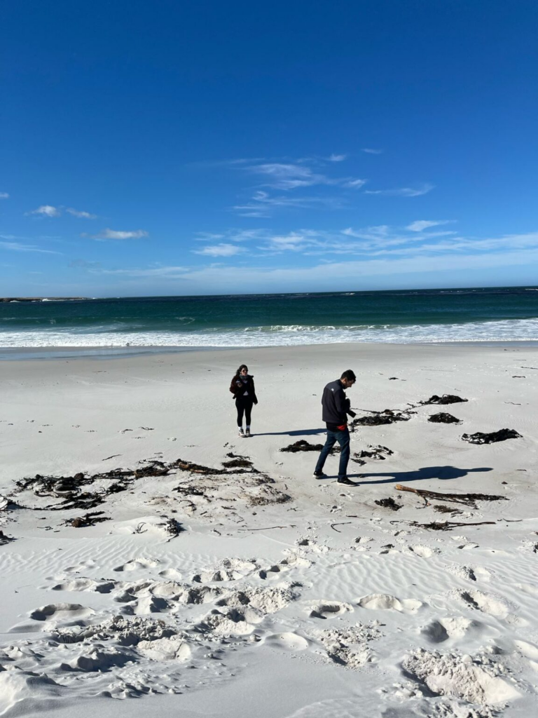 Malvinas