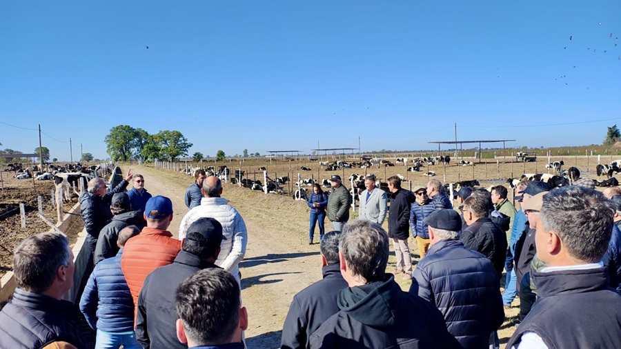 Feedlot