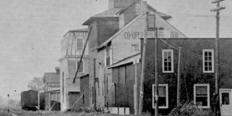 Cooperative Elevator