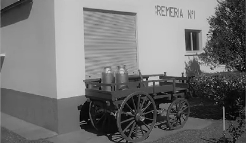 Unión Tamberos