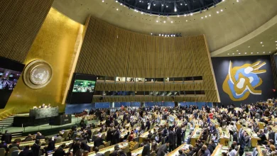 La ONU reconoce el avance de la ESyS, pero reclama más financiamiento y políticas efectivas - Agencia Ansol ONU y ESyS