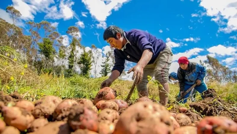 agricultura