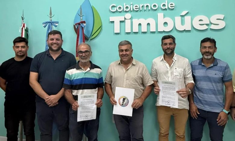 Timbues