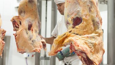 carne consumo cooperativa ansol
