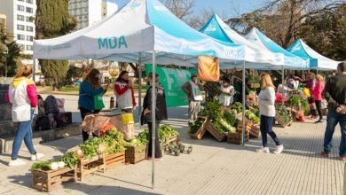 Mercados