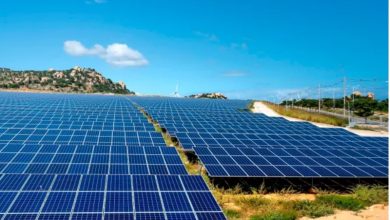 parques solares