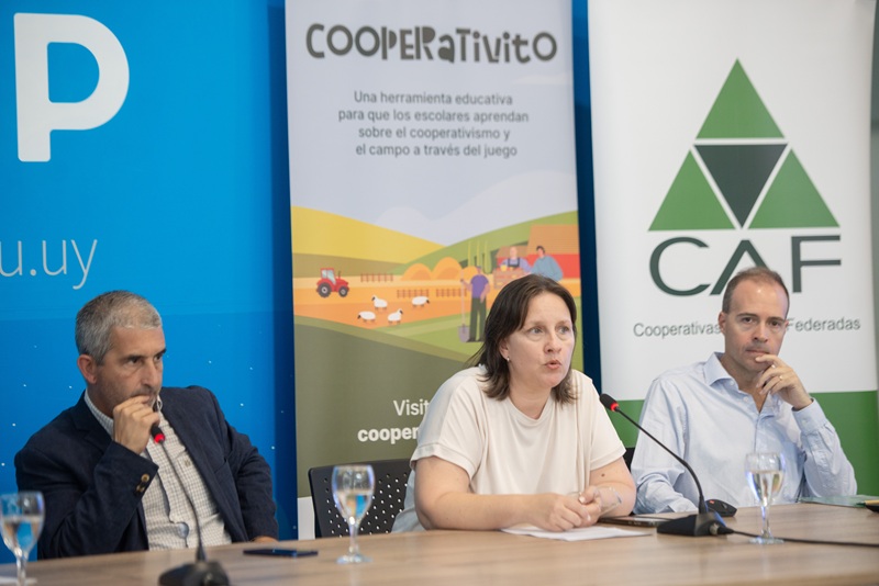 cooperativito