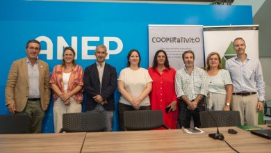 cooperativito