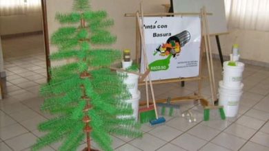 reciclado