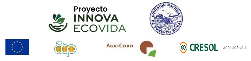 Innova