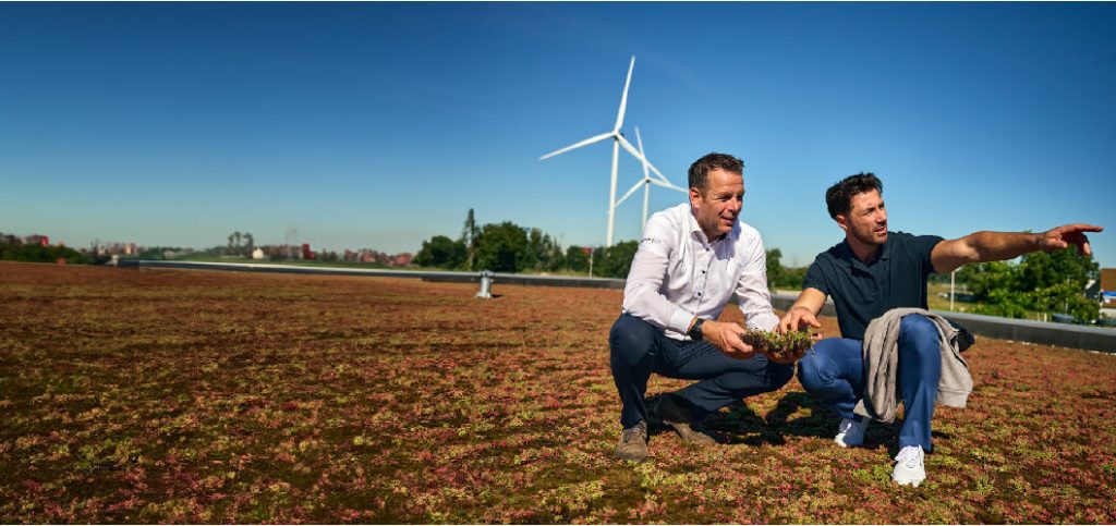 Dos especialistas de Rabobank: banco cooperativo analizando cultivos en un techo verde con molinos de energía eólica de fondo