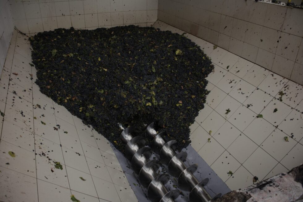 CONINAGRO participó de la Vendimia 2026 y analizó la situación de la vitivinicultura