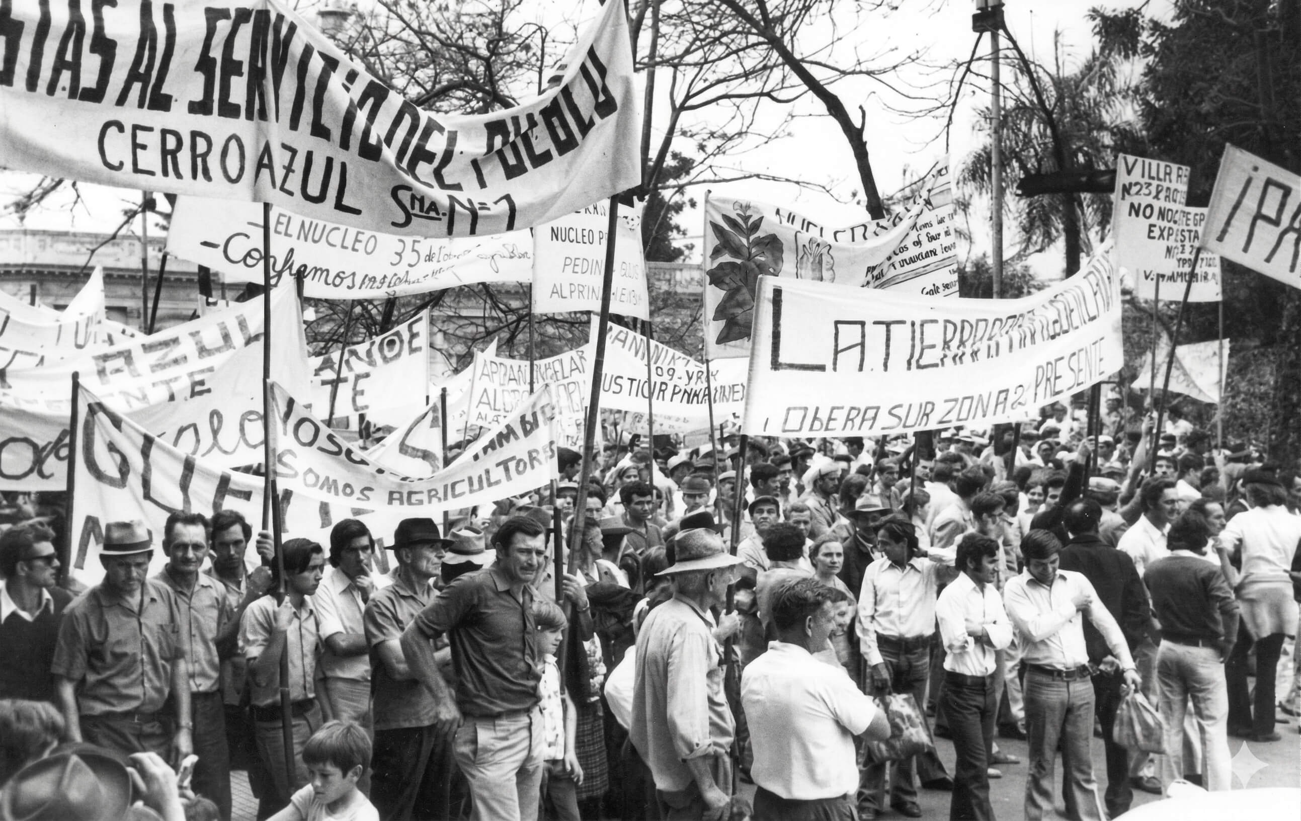 ligas agrarias