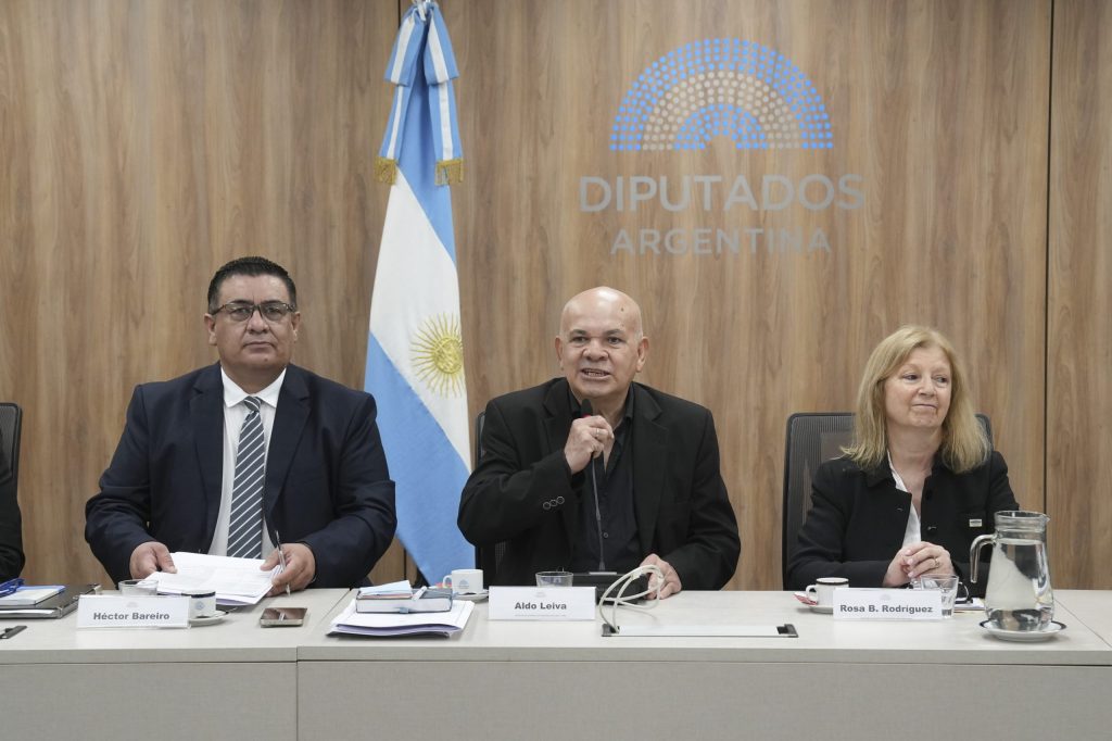 CONAM en la comisión de asuntos cooperativos y mutuales Diputados