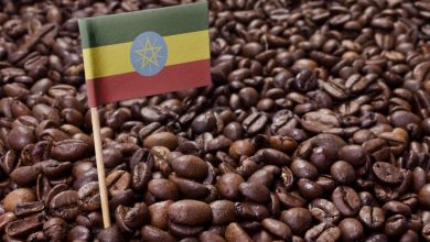 Oromia Coffee Etiopía