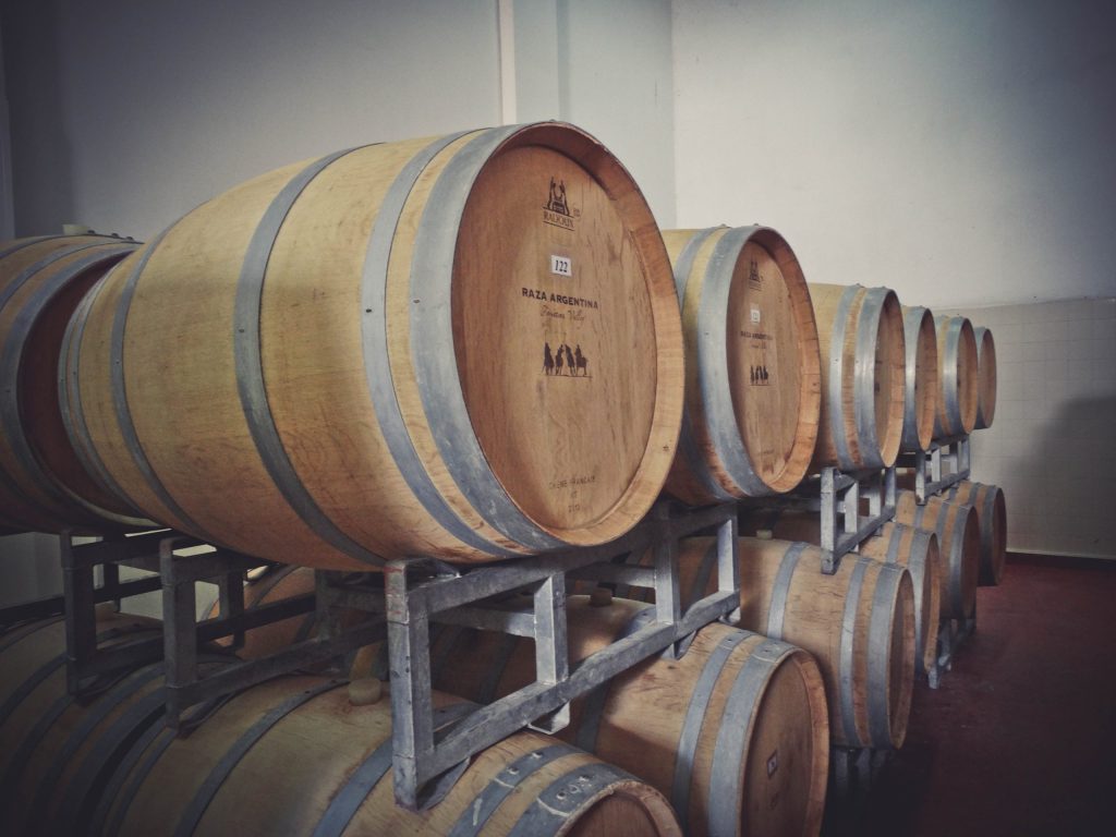 La Riojana: la cooperativa que impulsa desarrollo local con vino, comercio justo y producción orgánica