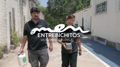Cooperativa Entrebichitos Uruguay