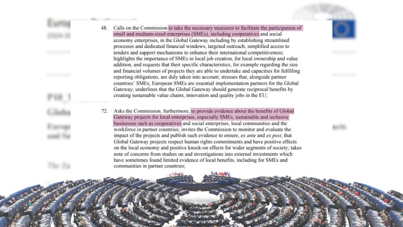 La Alianza Cooperativa Internacional celebró el reconocimiento del Parlamento Europeo a las cooperativas en la estrategia Global Gateway