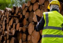 Mondragón forestal serrería en Alava