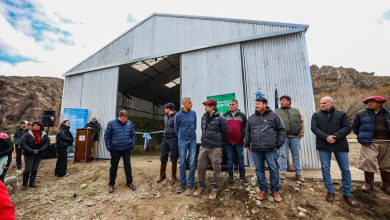 Cooperativa Peumayen