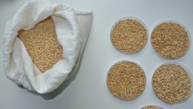 Semáforo de Economías Regionales: CONINAGRO mantiene 9 actividades en rojo y alerta por las importaciones y pérdidas del productor