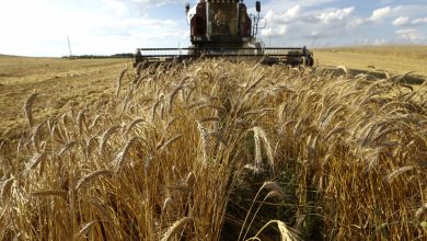 RETENCIONES CONINAGRO MESA AGROALIMENTARIA ARGENTINA