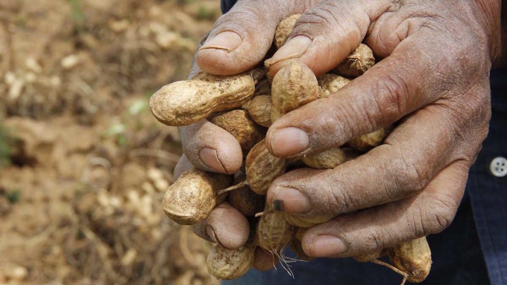 CONINAGRO Respaldo al nuevo régimen de formalización laboral