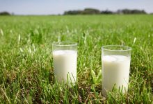 Friesland Campina