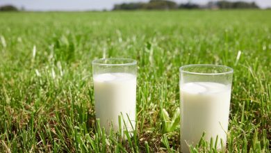 Friesland Campina