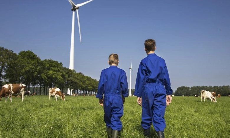 FrieslandCampina propone una transición ecológica al alcance de los productores - Agencia Ansol FrieslandCampina