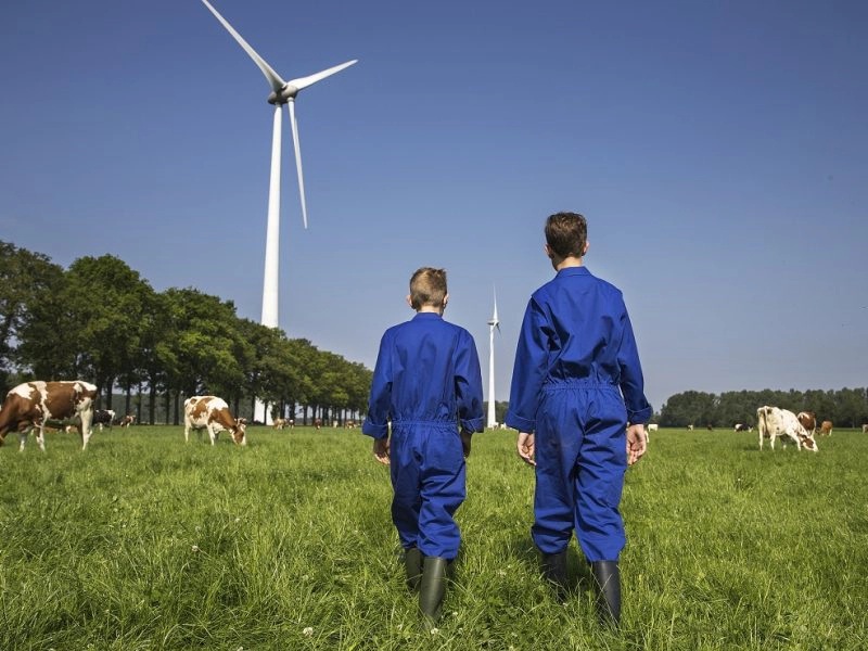 FrieslandCampina