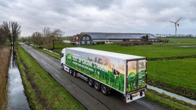 Frieslandcampin