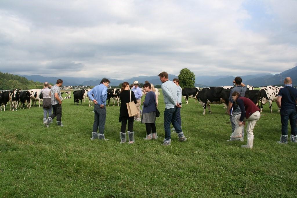 Arla Foods granjeros
