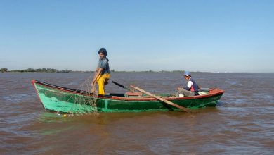 pescadores Río Paraná