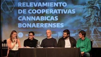 IPAC relevamiento de cooperativas cannabicas